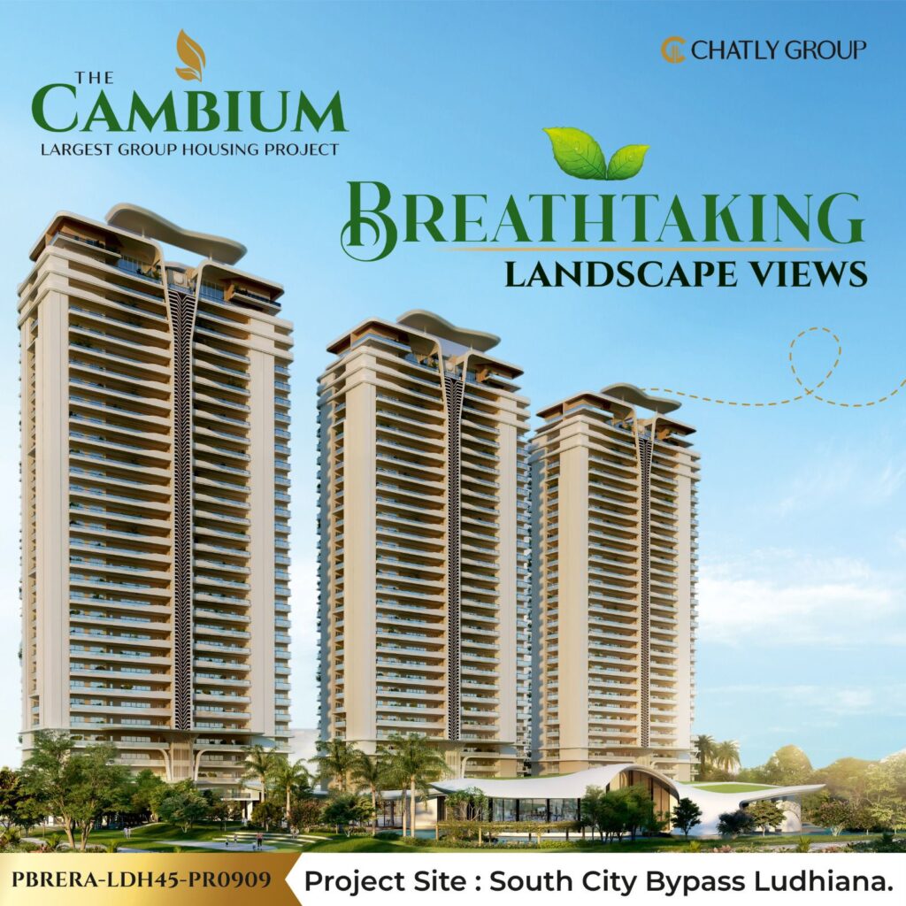 Cambium